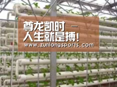 环境展示六