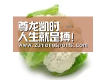 产品名称九