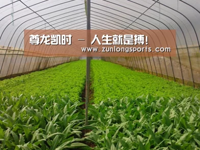 种植基地四