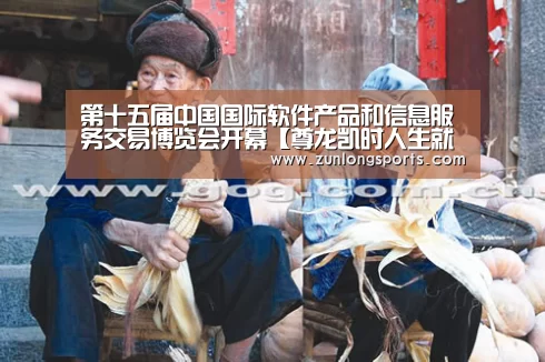 第十五届中国国际软件产品和信息服务交易博览会开幕【尊龙凯时人生就是搏】(图4) 尊龙凯时人生就是搏