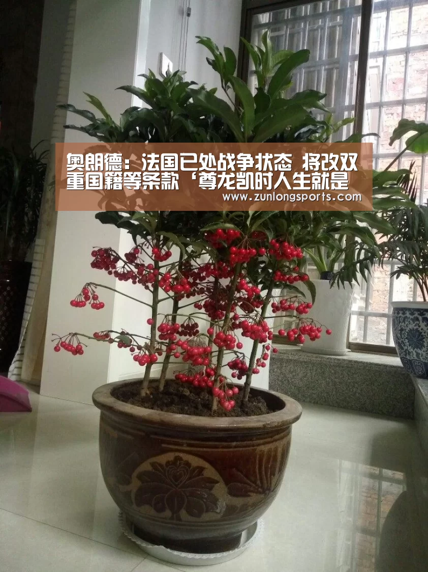 奥朗德:法国已处战争状态 将改双重国籍等条款‘尊龙凯时人生就是搏’(图1) 尊龙凯时官网