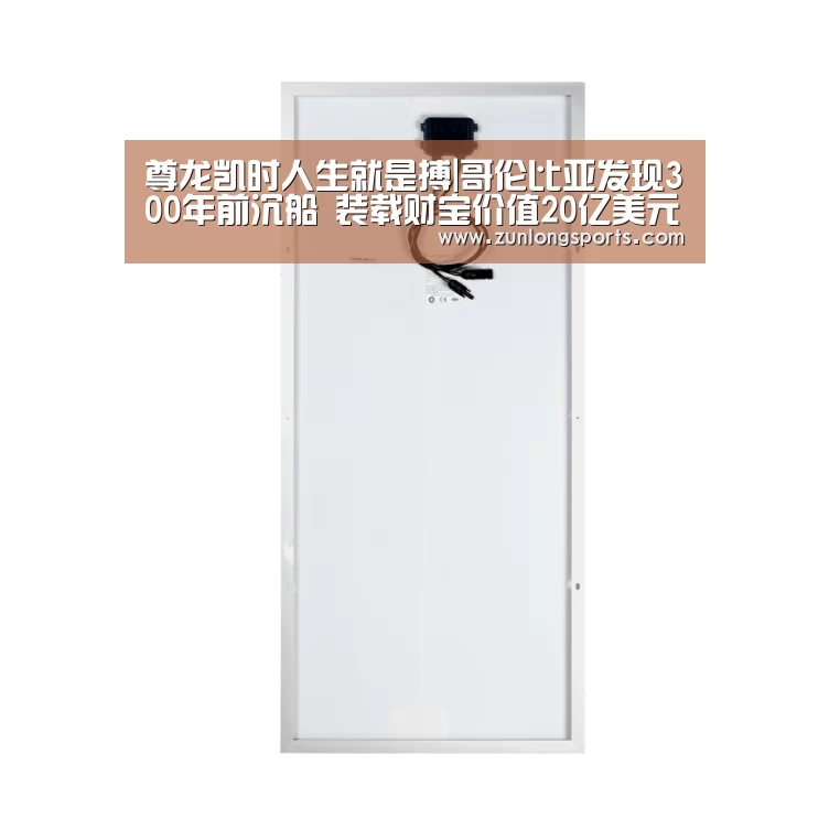 尊龙凯时官网